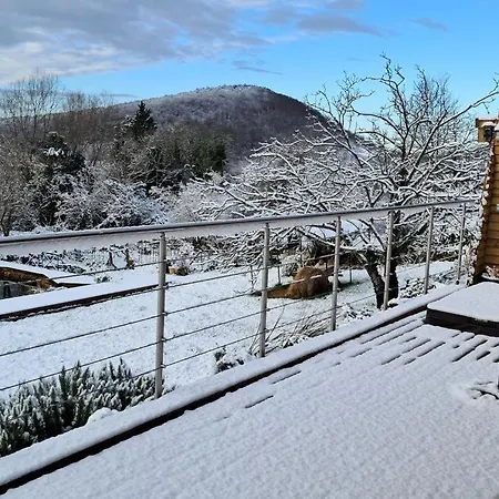 Des Petites Pyrenees Ausseing